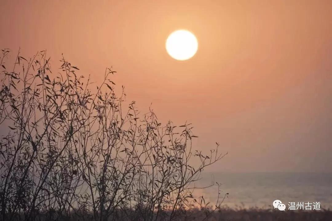 最新瘟疫詩(shī)詞，時(shí)代之聲與人文關(guān)懷的交融展現(xiàn)