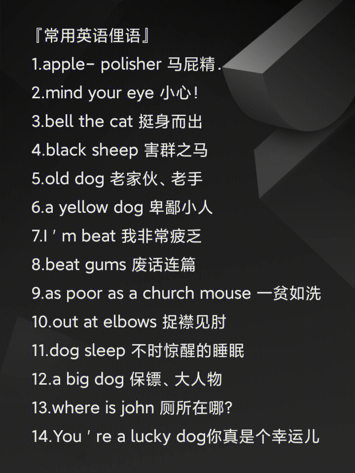 英文最新俚語(yǔ)揭秘，小巷秘密小店的潮流詞匯