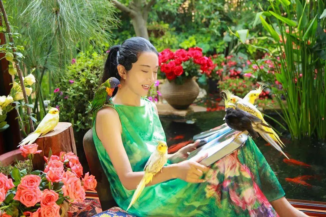 昆明最新舞蹈，文化現(xiàn)象的深度探討