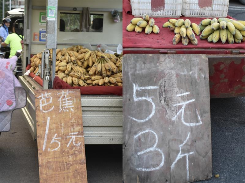 芭蕉最新價格，開啟心靈平靜的綠色之旅