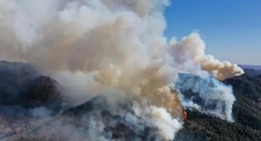 榆社山火防控指南，從初學(xué)者到進(jìn)階用戶的全步驟學(xué)習(xí)與防火任務(wù)實(shí)踐