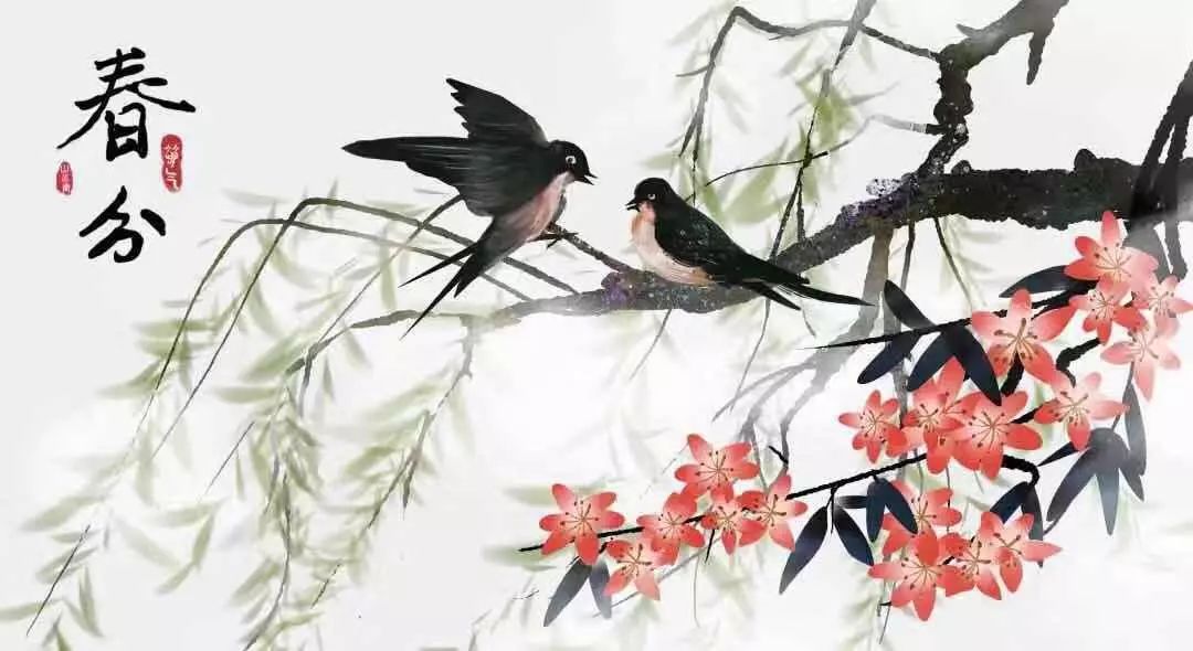 春分最新圖片，展現(xiàn)自然之美的瞬間