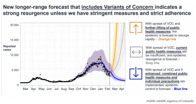 約克最新疫情動態(tài)，學(xué)習(xí)變化中的自信與成就力量