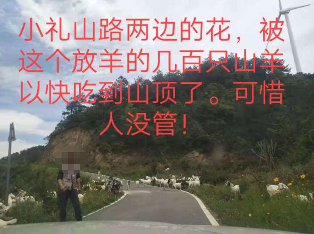 大悟最新路，探索未知，自信成就夢(mèng)想之旅的啟程