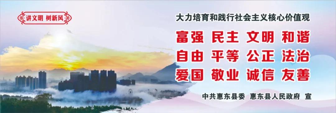 惠州肺炎最新動(dòng)態(tài)，小巷深處的獨(dú)特小店背后的故事