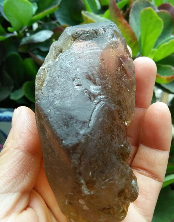 最新鑒定法，揭示友情的印記與家的溫馨