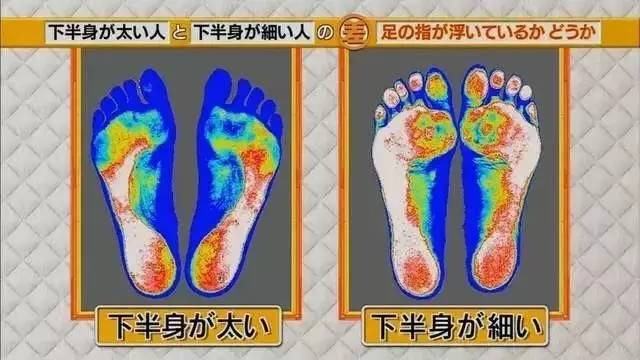 最新地趾論述，探索、爭議與觀點綜述