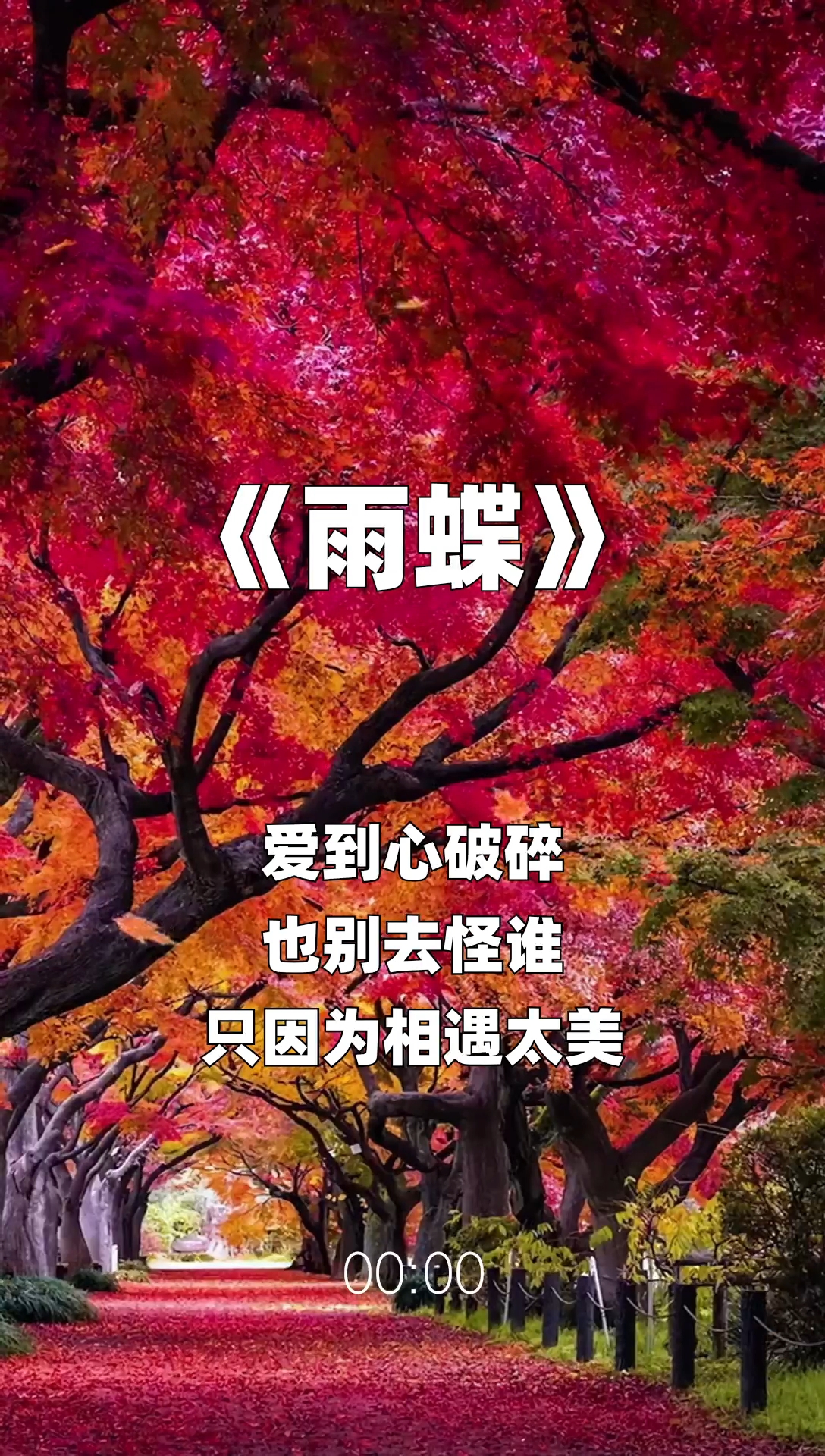雨蝶最新步驟指南，如何完成任務(wù)或?qū)W習(xí)技能？