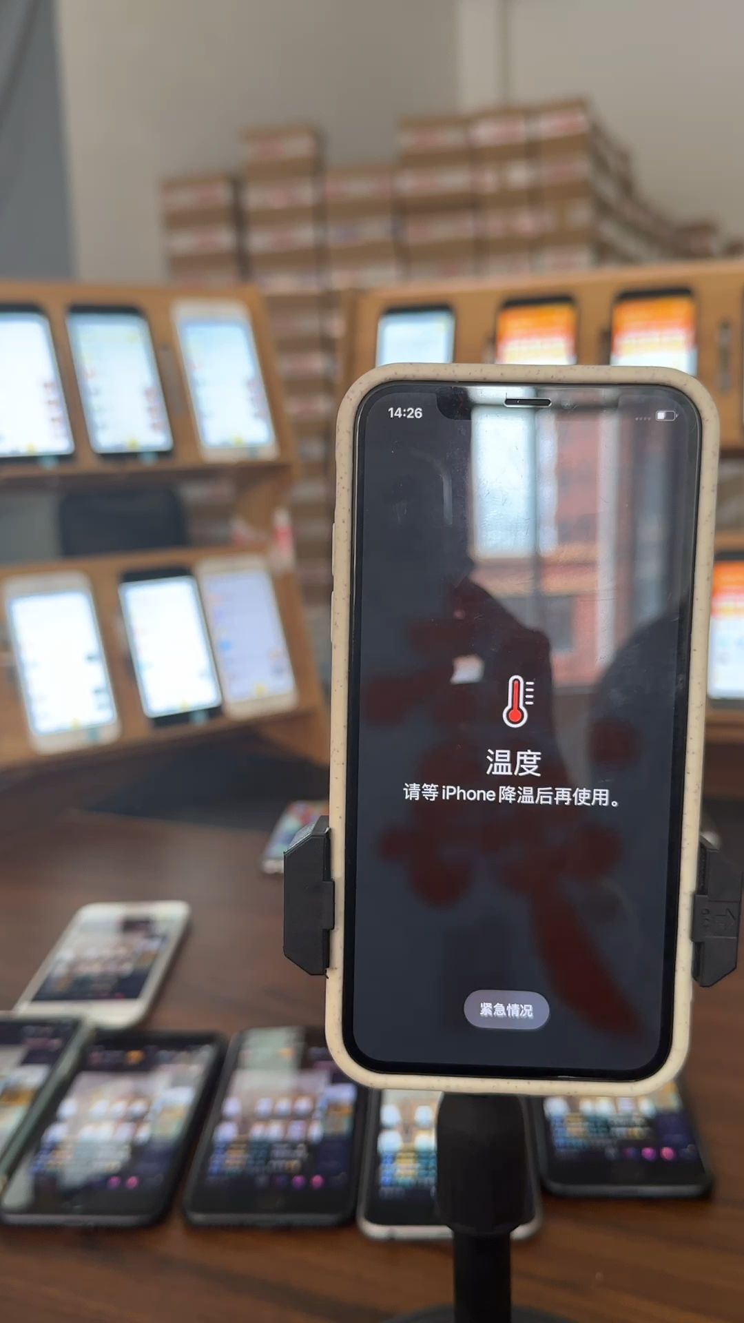 蘋果最新直播，科技與文化的完美融合盛宴