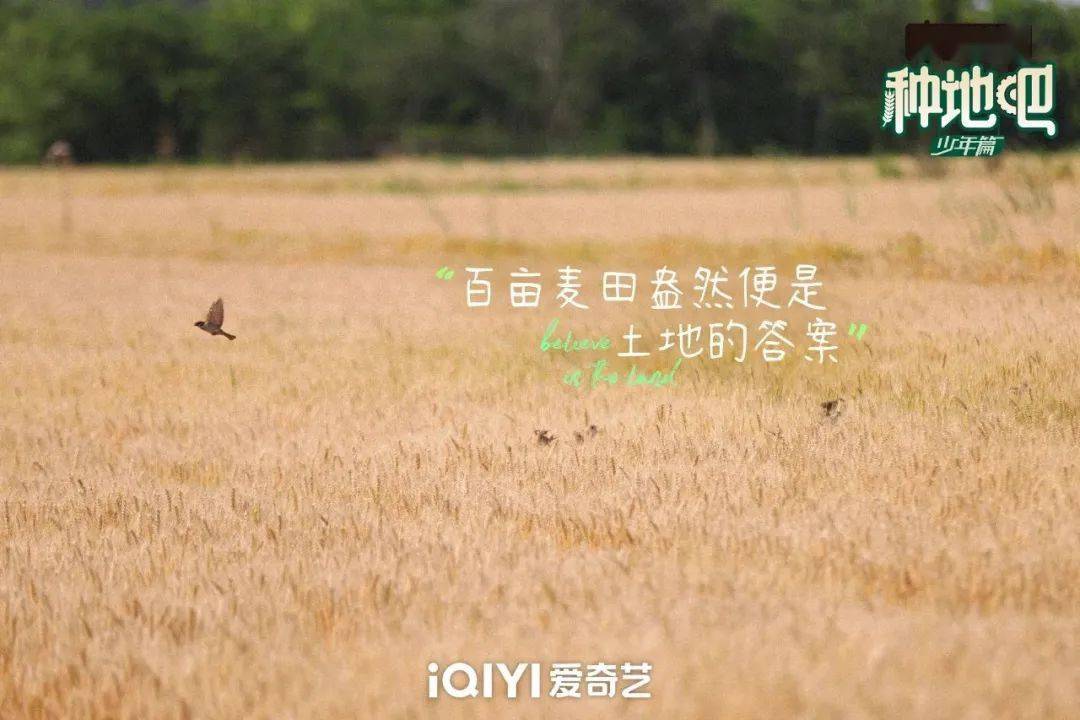 種地吧最新語錄，探索未來農(nóng)業(yè)的高科技魅力