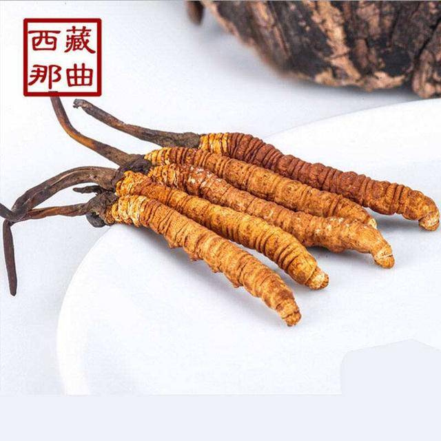 揭秘2025年蟲草最新價(jià)格，探尋小巷中的秘密行情！