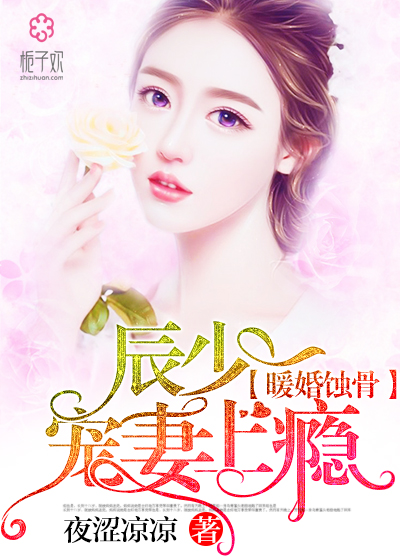 陸少寵上癮最新動態(tài)，日常趣事與真摯友情的獨(dú)特魅力